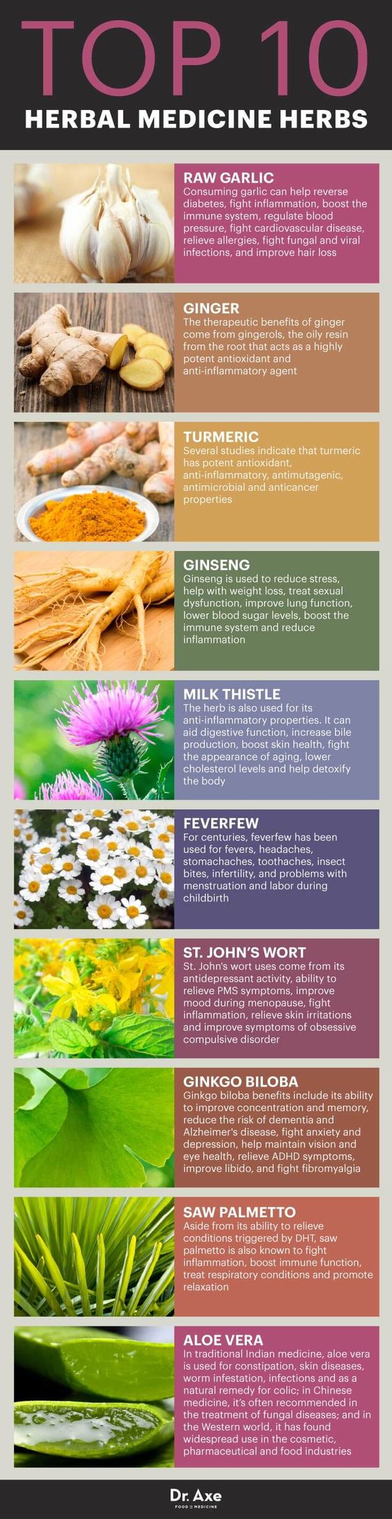 Top 10 Herbal Medicine Herbs