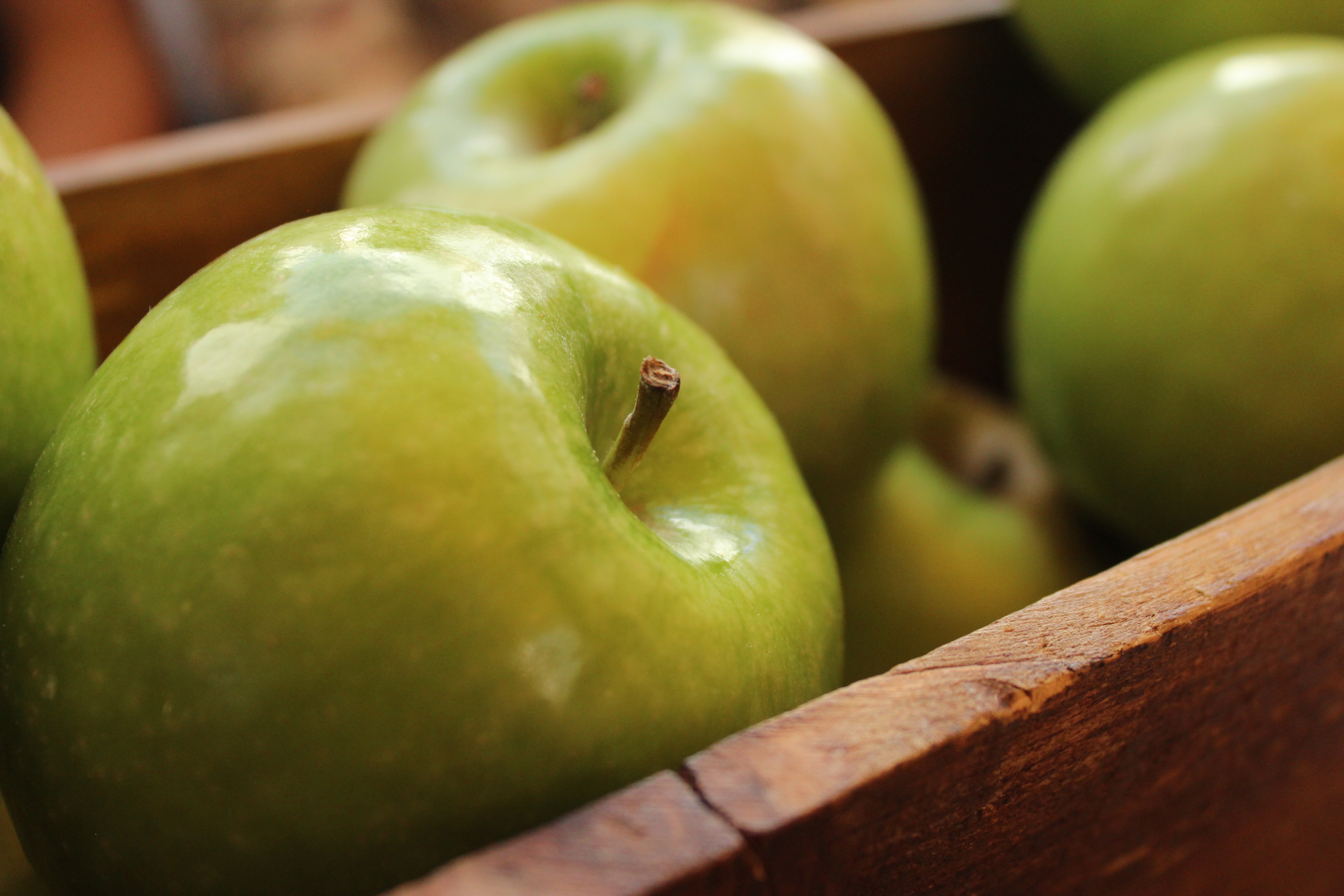 are-apple-seeds-poisonous-what-happens-if-you-eat-them