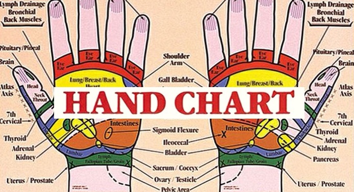 Printable Hand Reflexology Chart