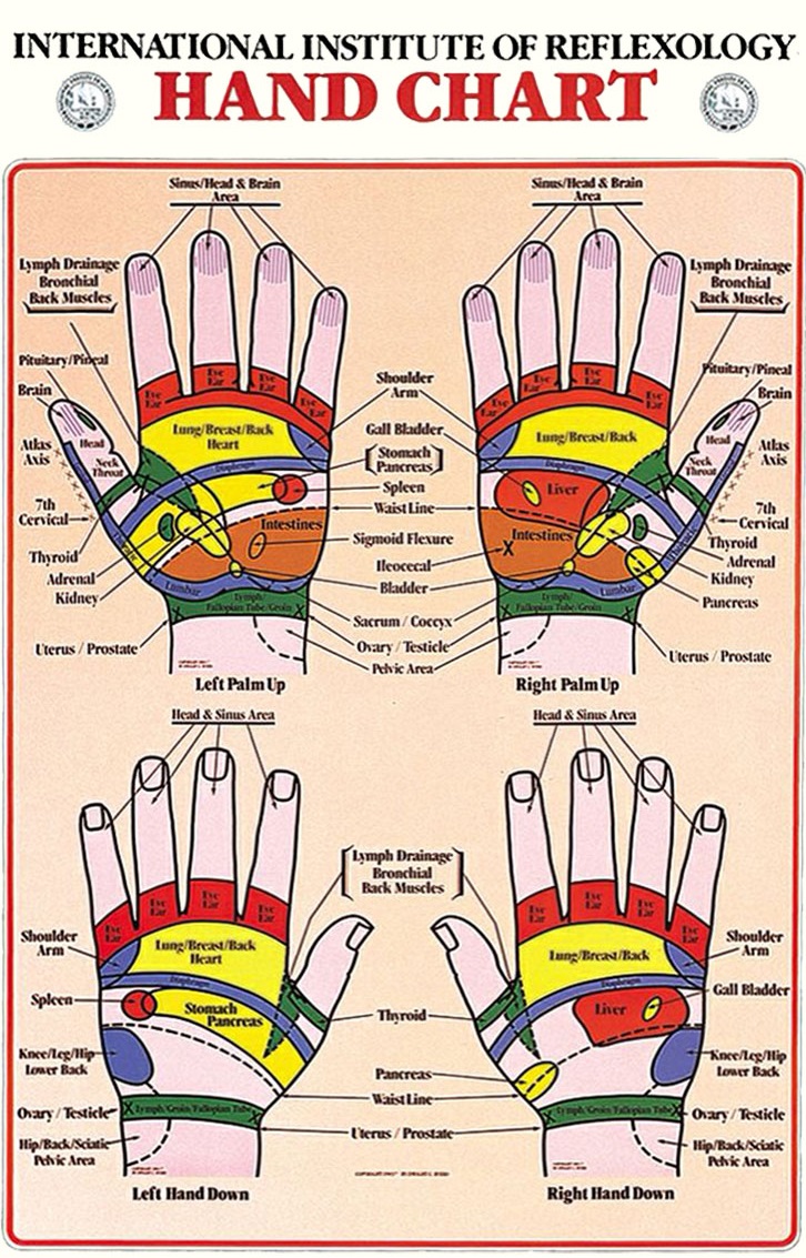 This Hand chart produced by International Institute of Reflexology and used with kind permission. Shows both hand palm up and palm down and the relevant reflexology points.