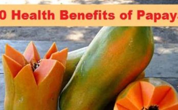 10 Health Benefits of Papaya